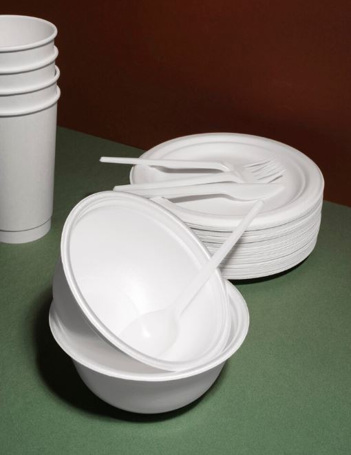 Plastik Çatal, Kaşık ve Bıçaklar: Pratik Kullanım İçin İdeal Arkadaşlarınız
